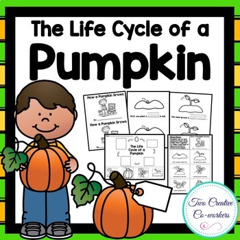Preview of Life Cycle of a Pumpkin | mini book, worksheets & cards