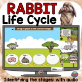 Life Cycle of a Rabbit Easter Activities Boom Cards