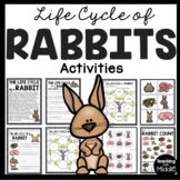 Life Cycle of a Rabbit Activities and Worksheets Rabbits S