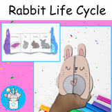 Life Cycle of a Rabbit | Craft Activity