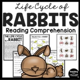 Life Cycle of a Rabbit Informational Reading Comprehension
