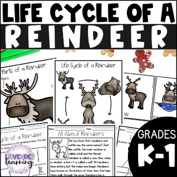 Life Cycle of a Reindeer Activities, Worksheets, Booklet - Reindeer ...