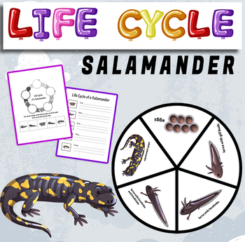 Preview of Life Cycle of a Salamander - life cycle of a Salamander craft.