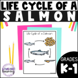 Life Cycle of a Salmon Activities, Worksheets, Booklet - S