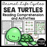 Life Cycle of a Sea Turtle Activities and Worksheets Sea T