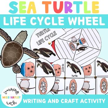 https://ecdn.teacherspayteachers.com/thumbitem/Life-Cycle-of-a-Sea-Turtle-Craft-Wheel-Activity-10265263-1698213404/original-10265263-1.jpg