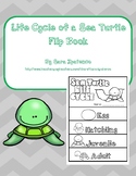 Life Cycle of a Sea Turtle Flip Book