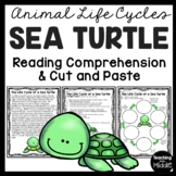 Life Cycle of a Sea Turtle Reading Comprehension and Cut a