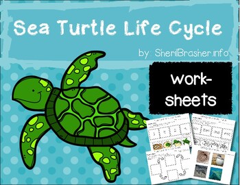 Preview of Life Cycle of a Sea Turtle | PreK-K Worksheets | English