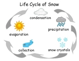 Life Cycle of Snow. 4 versions: b&w/color, tracing words/words.