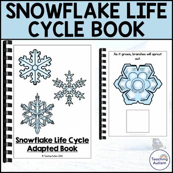 Preview of Life Cycle of a Snowflake Adapted Book | Snowflake Life Cycle