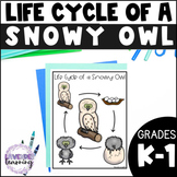 Life Cycle of a Snowy Owl Activities, Worksheets, Booklet 