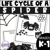 Life Cycle of a Spider Activities, Worksheets, Mini Bookle