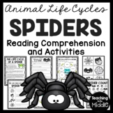 Life Cycle of a Spider Activities and Worksheets Spiders