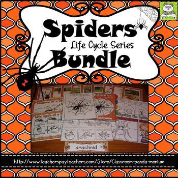 Preview of Life Cycle of a Spider Bundle