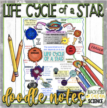 Preview of Life Cycle of a Star Doodle Notes & Quiz