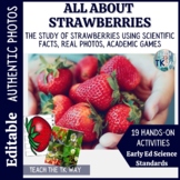 Life Cycle of a Strawberry