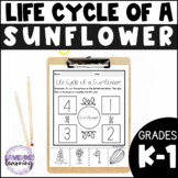 Life Cycle of a Sunflower Activities, Worksheets, Booklet 