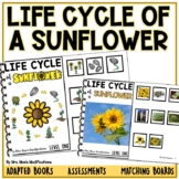 Life Cycle of a Sunflower- Adapted Book