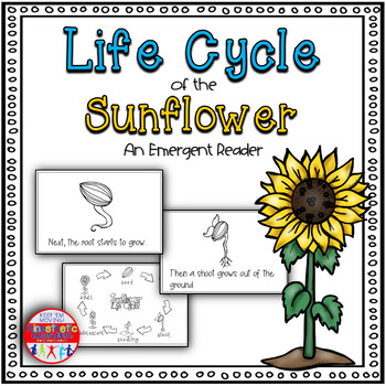 Preview of Life Cycle of a Sunflower Book and Cut and Paste Activity