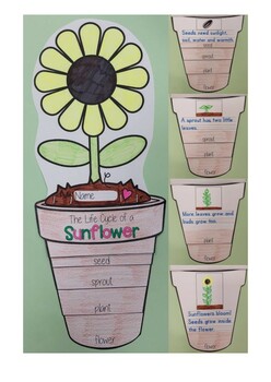 Life Cycle of a Sunflower Flip Book (art project) by Jonathan Perry