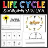 Life Cycle of a Sunflower Mini Unit