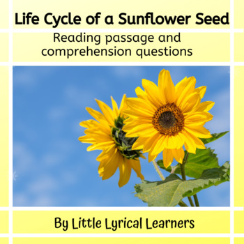 Preview of Life Cycle of a Sunflower Seed; Nonfiction Reading Passage with Comp Question