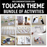 Life Cycle of a Toucan: Montessori South America Activitie