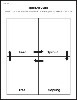 Preview of Life Cycle of a Tree Activity template Draw about tree worksheet