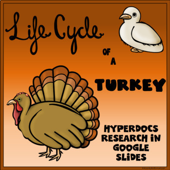 Preview of Life Cycle of a Turkey Digital Research Project