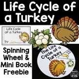 Life Cycle of a Turkey Freebie Thanksgiving Freebie