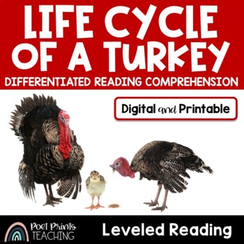 Preview of Life Cycle of a Turkey Nonfiction Reading
