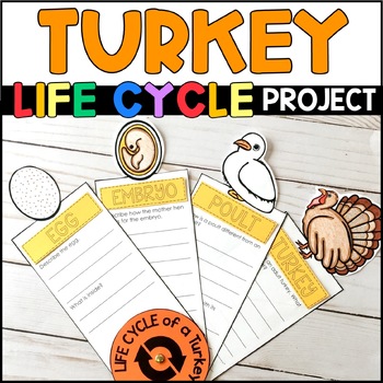 Preview of Life Cycle of a Turkey Project - Research Report - Craft