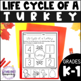 Life Cycle of a Turkey - Turkey Life Cycle - Thanksgiving 