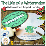 Life Cycle of a Watermelon Emergent Reader, Vocabulary & S