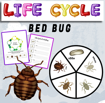 Preview of Life Cycle of a bed bug - life cycle of a bed bug craft.