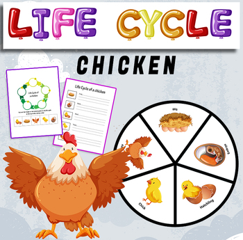 Preview of Life Cycle of a chicken - life cycle of a chicken craft