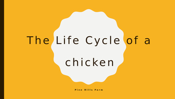 Preview of Life Cycle of a chicken Power point