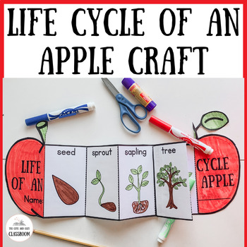 Preview of Life Cycle of an Apple Craft