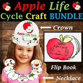 Life Cycle of an Apple Craft Bundle, Lifecycle Crown Hat, Necklace, Flip book