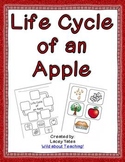 Life Cycle of an Apple {FREEBIE}