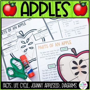 Preview of Life Cycle of an Apple | Johnny Appleseed Facts | Parts of an Apple