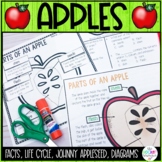 Life Cycle of an Apple | Johnny Appleseed Facts | Parts of