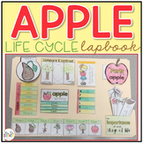 Life Cycle of an Apple Lapbook {with 10 foldables} Apple T