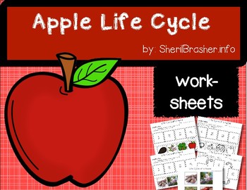 Preview of Life Cycle of an Apple | PreK-K Worksheets | English
