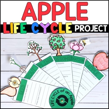 Preview of Life Cycle of an Apple Project - Research Report - Apple Craft