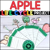 Life Cycle of an Apple Project - Research Report - Apple Craft