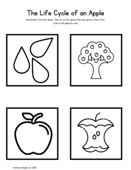 life cycle of an apple clipart scholastic