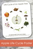 Life Cycle of an Apple Tree; Montessori 8x10" Poster for Display