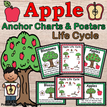 Preview of Life Cycle of an Apple Tree | Posters | Anchor Charts